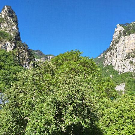 Vila Montana Dobrilovina Bagian luar foto