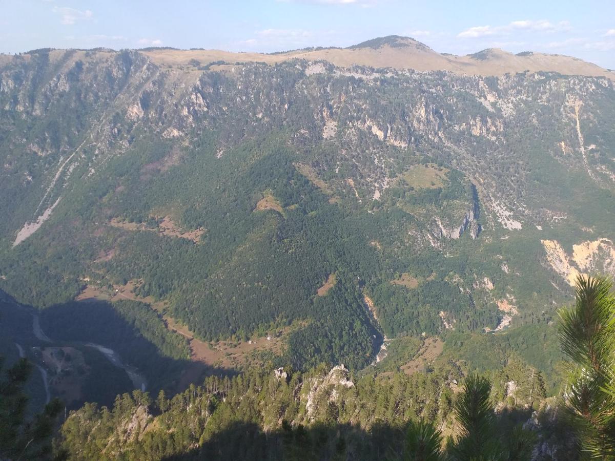 Vila Montana Dobrilovina Bagian luar foto