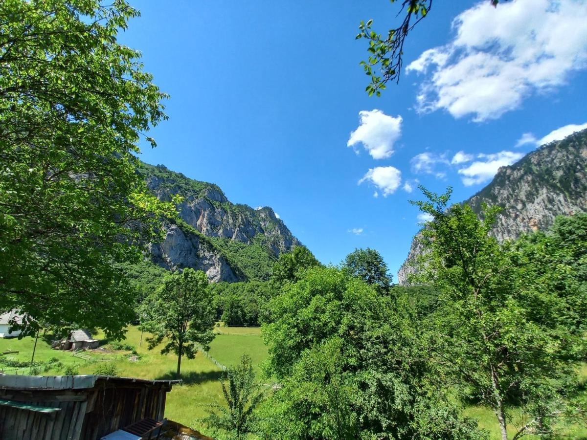Vila Montana Dobrilovina Bagian luar foto