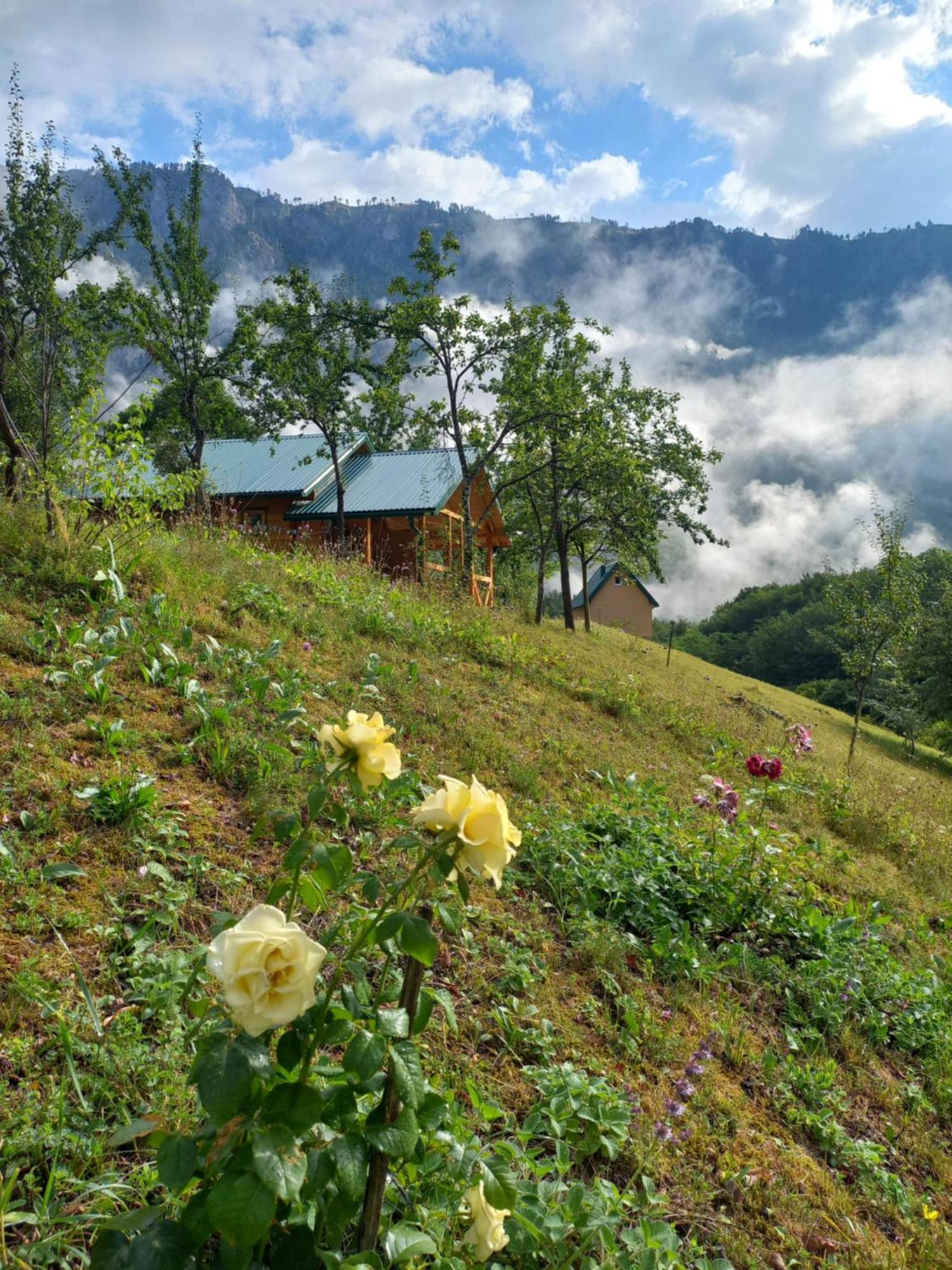 Vila Montana Dobrilovina Bagian luar foto