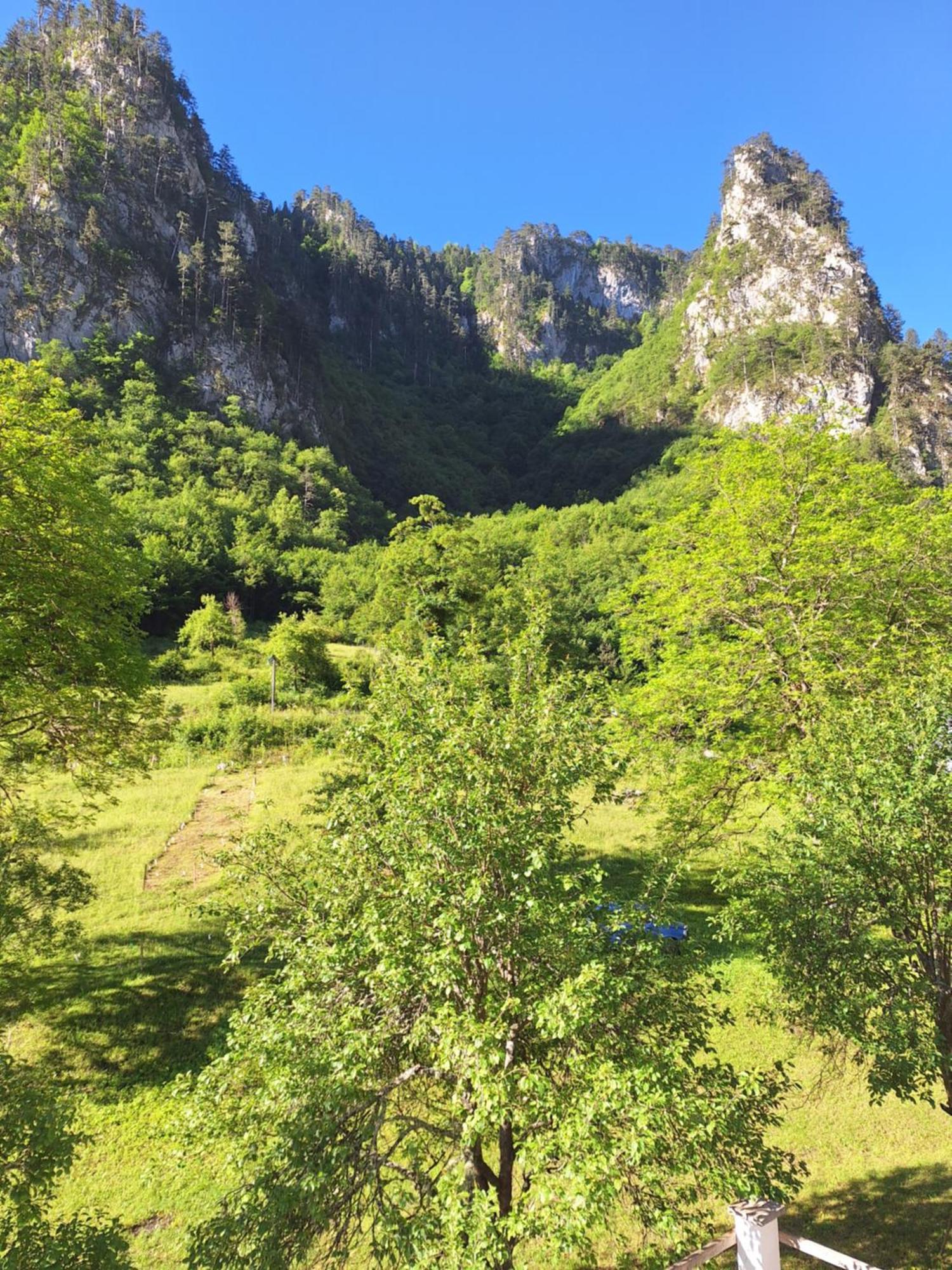 Vila Montana Dobrilovina Bagian luar foto