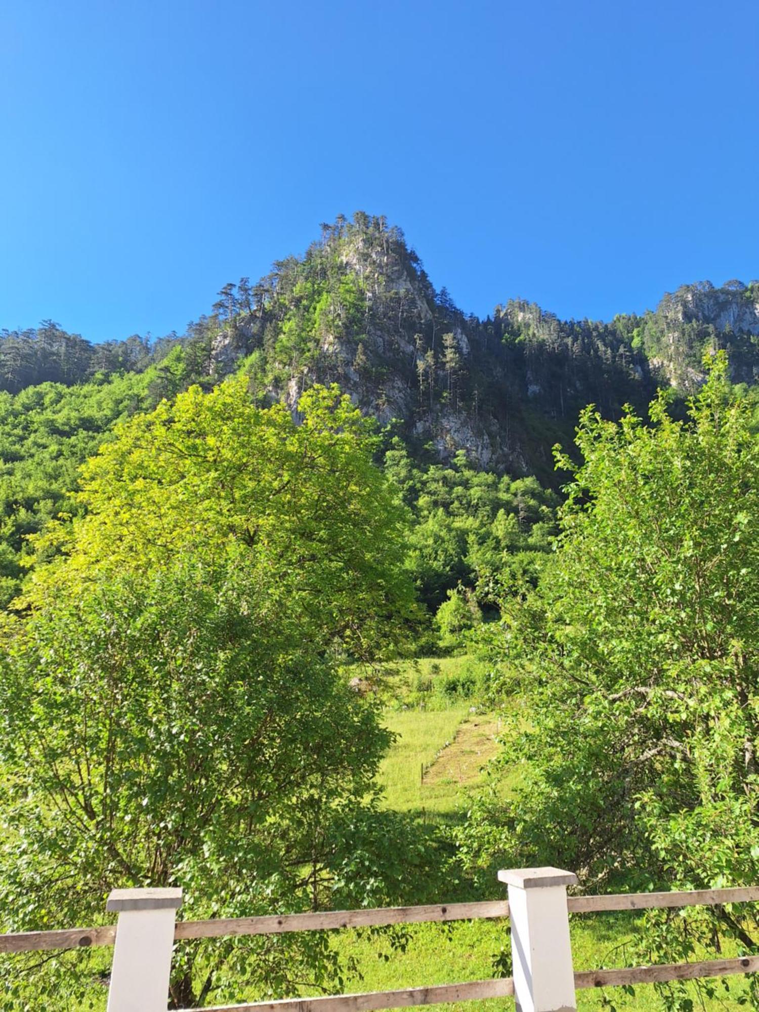 Vila Montana Dobrilovina Bagian luar foto