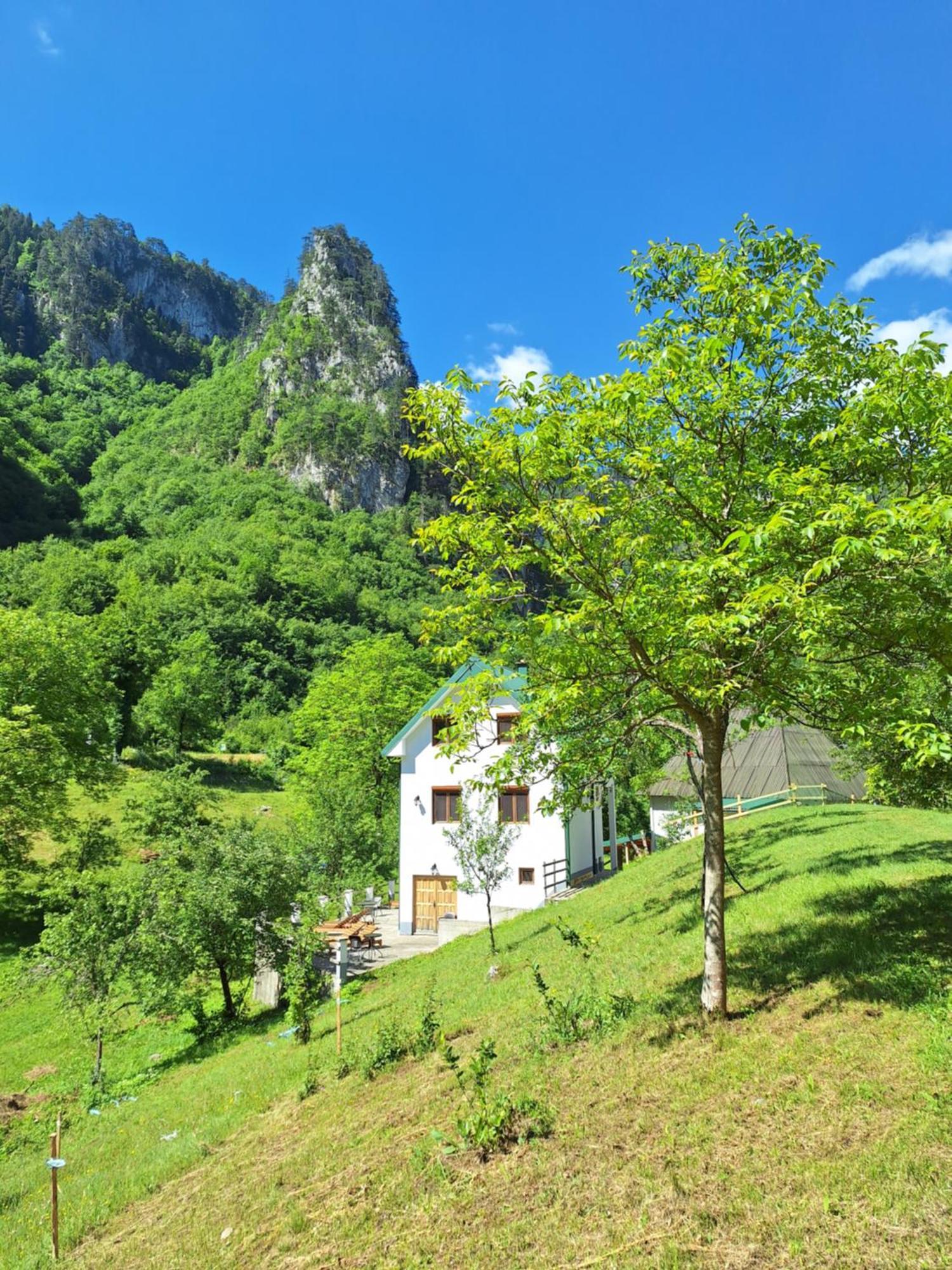 Vila Montana Dobrilovina Bagian luar foto