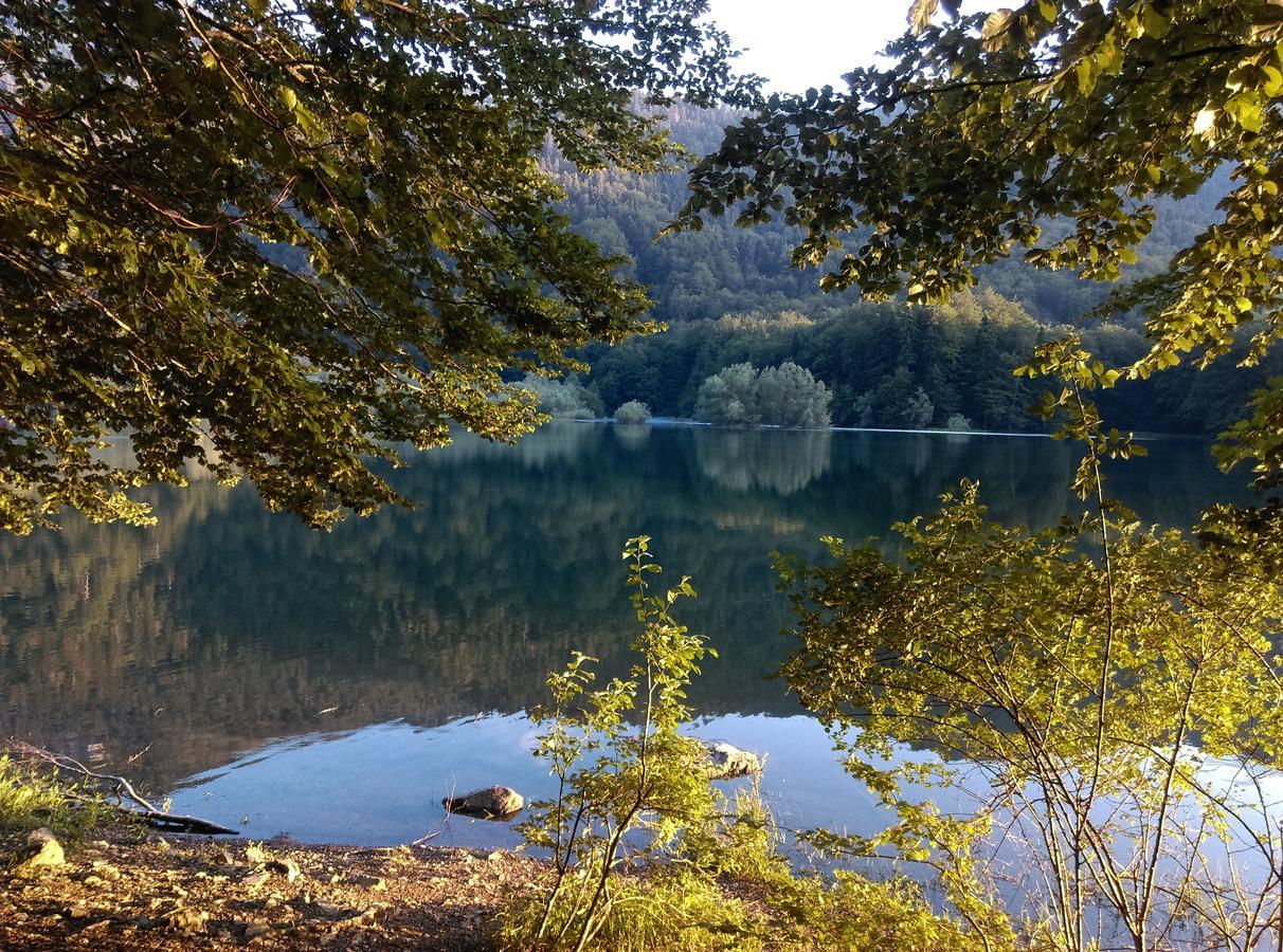 Vila Montana Dobrilovina Bagian luar foto