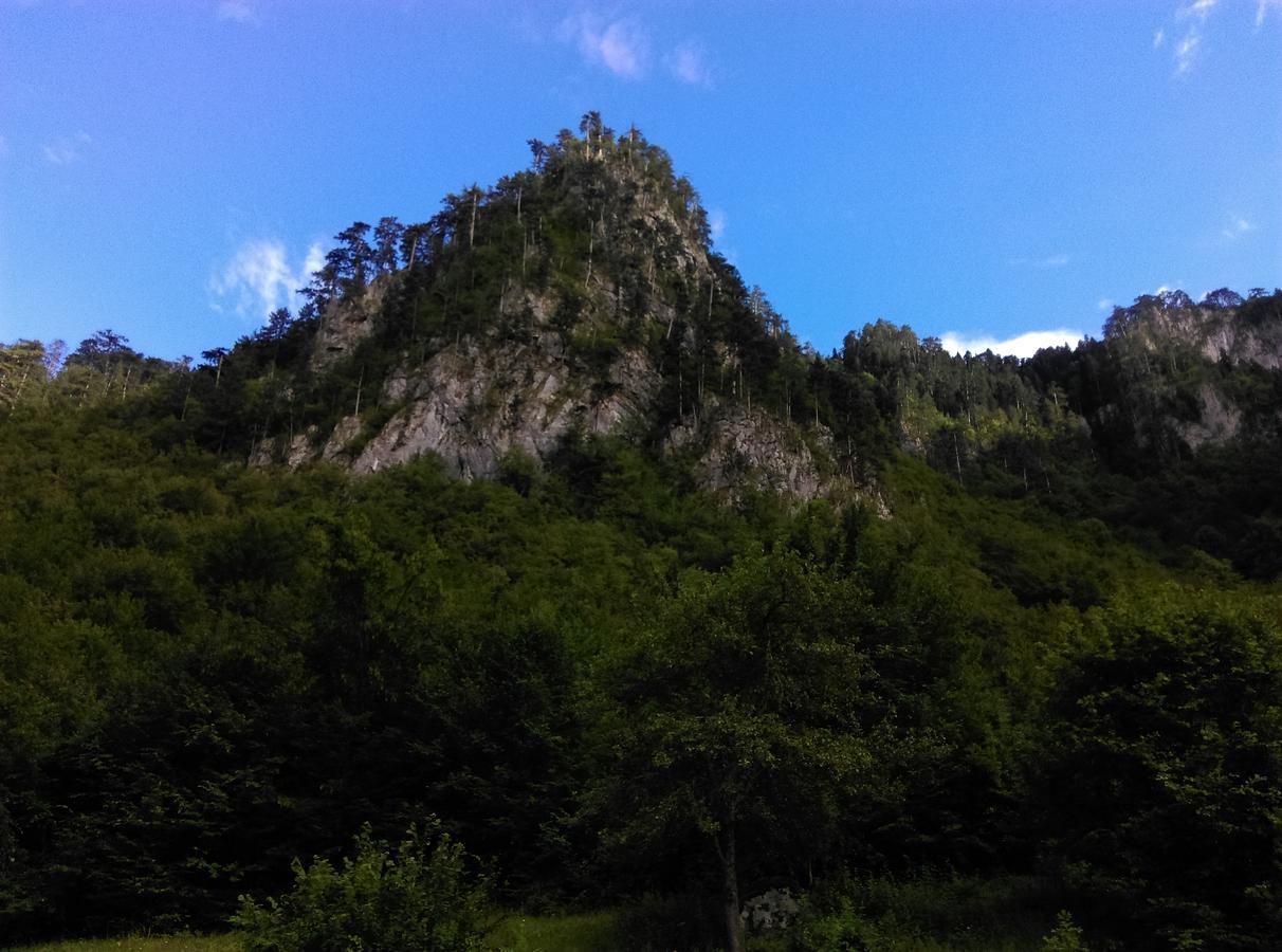 Vila Montana Dobrilovina Bagian luar foto